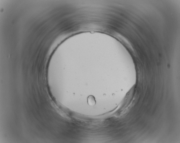 X0000076321192200610271956