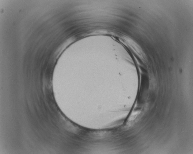 X0000076321193200610271956