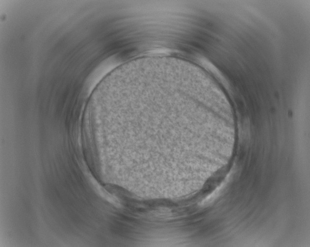 X0000076321194200610271956