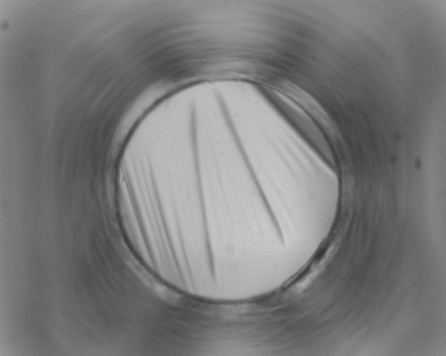 X0000076321196200610271956