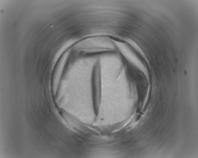 X0000076321197200610271956