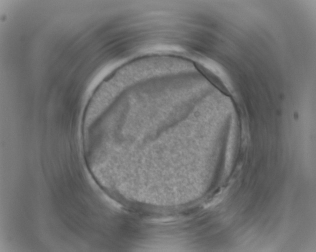 X0000076321199200610271956