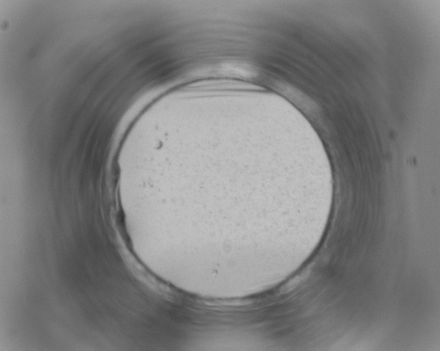 X0000076321200200610271956