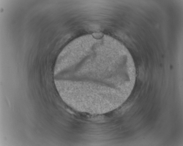 X0000076321201200610271955