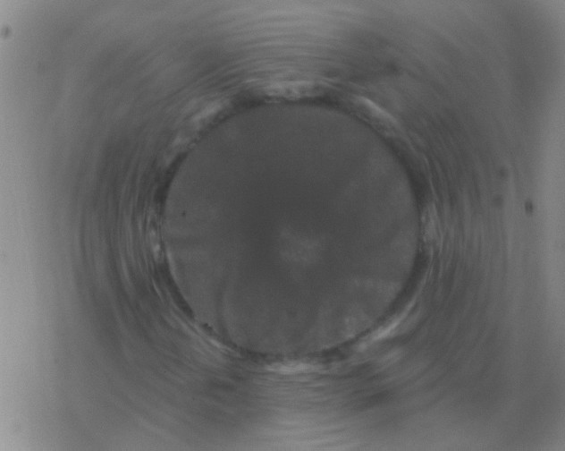 X0000076321202200610271955