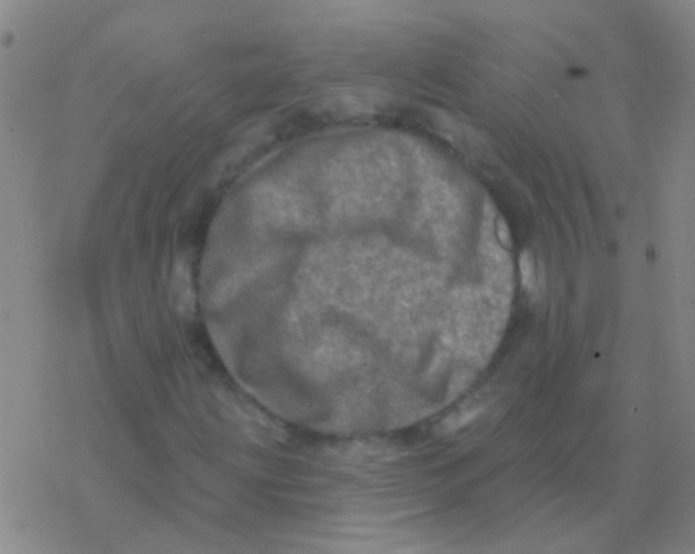 X0000076321203200610271955