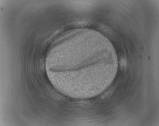 X0000076321204200610271955