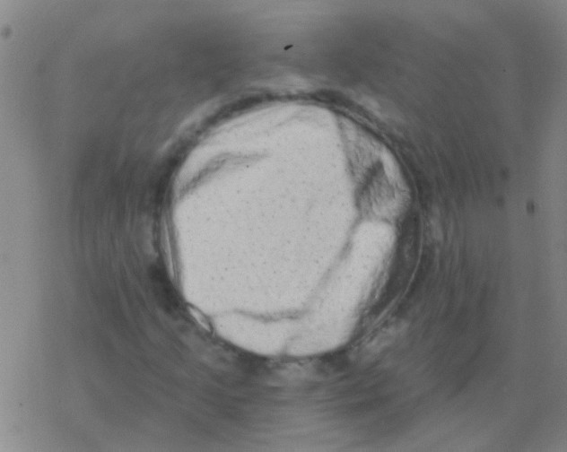 X0000076321205200610271955