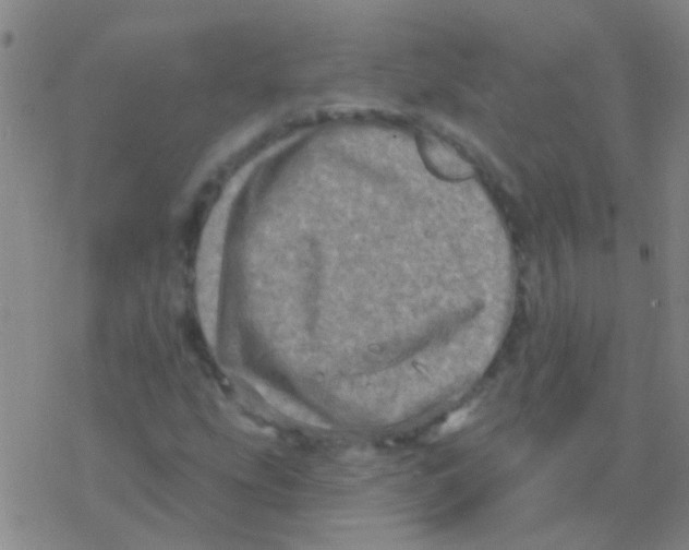 X0000076321207200610271955