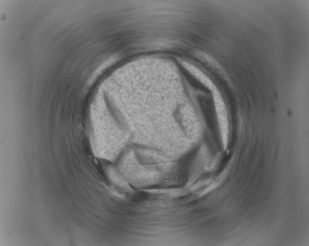 X0000076321210200610271956