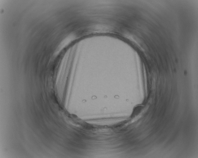 X0000076321211200610271956