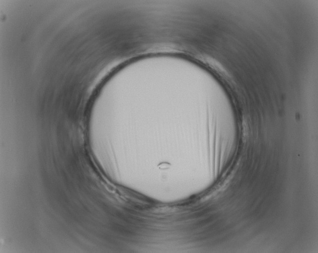 X0000076321212200610271956