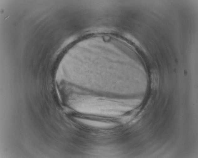 X0000076321213200610271956