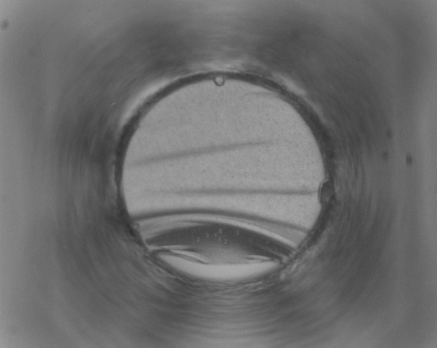 X0000076321214200610271956