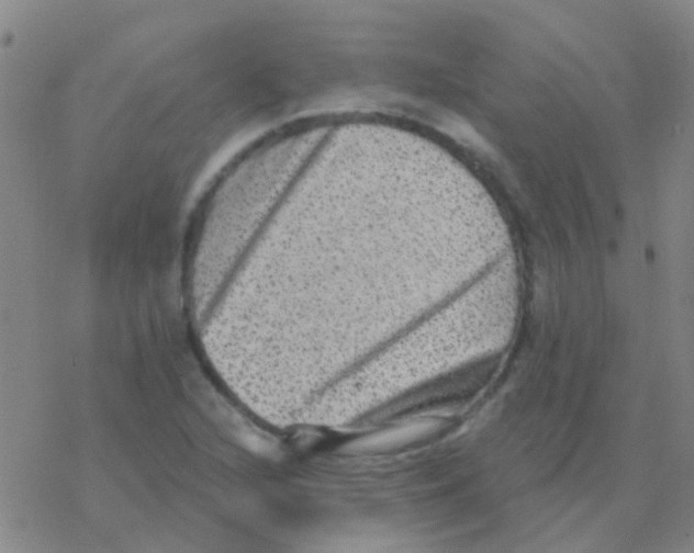 X0000076321216200610271956