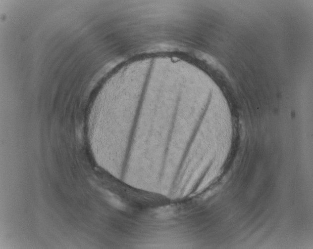 X0000076321217200610271956