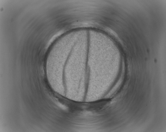 X0000076321218200610271956