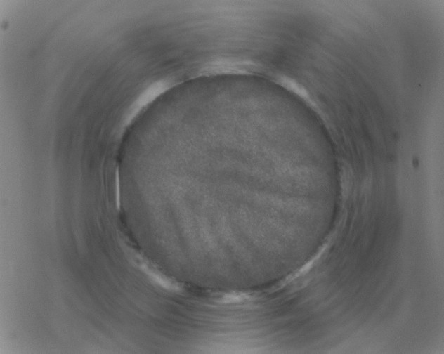 X0000076321219200610271956