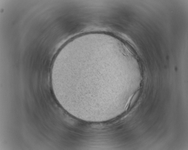 X0000076321220200610271956