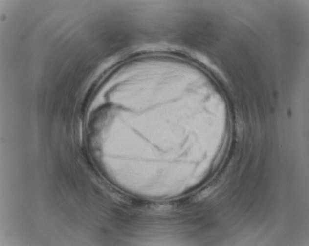 X0000076321221200610271956