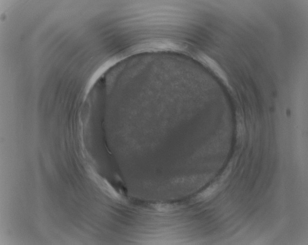 X0000076321226200610271956