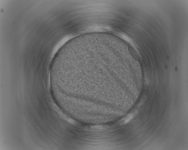 X0000076321227200610271956