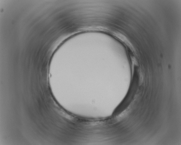 X0000076321228200610271956