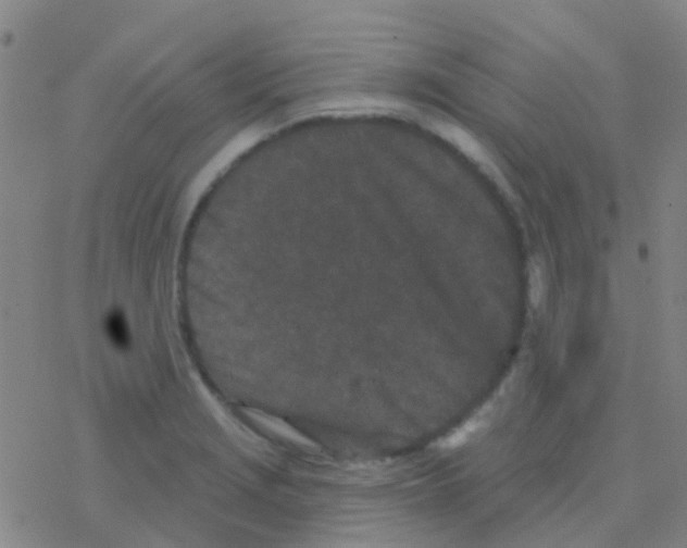 X0000076321229200610271956