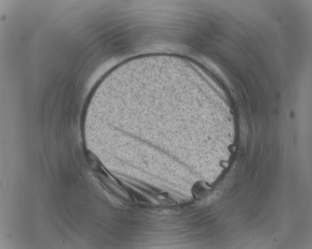 X0000076321230200610271956