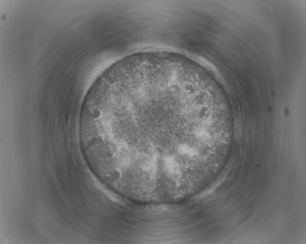 X0000076321231200610271956