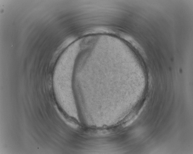 X0000076321233200610271956