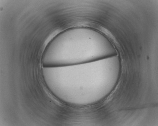 X0000076321234200610271956