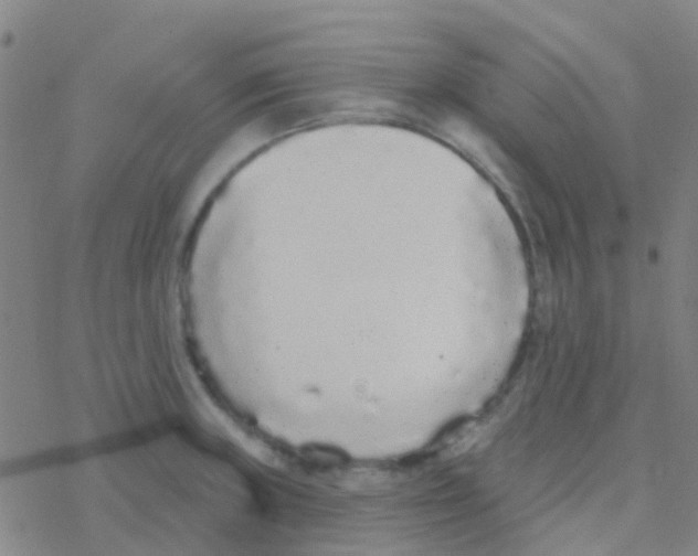 X0000076321235200610271956