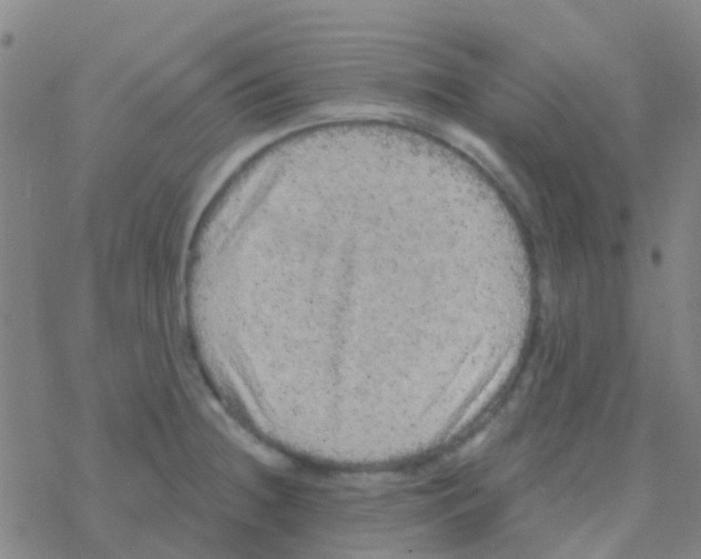 X0000076321236200610271956