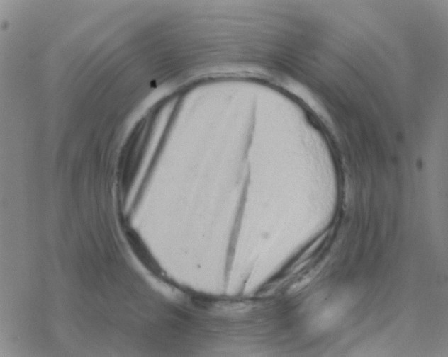 X0000076321237200610271956