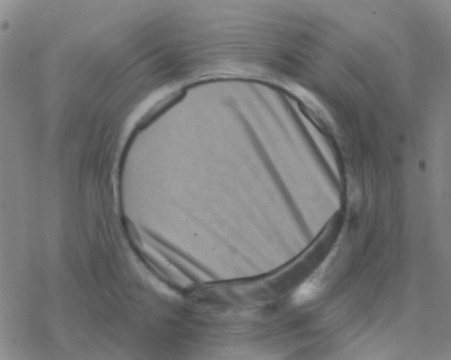 X0000076321238200610271956