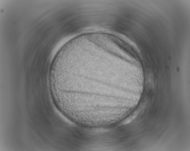 X0000076321239200610271956