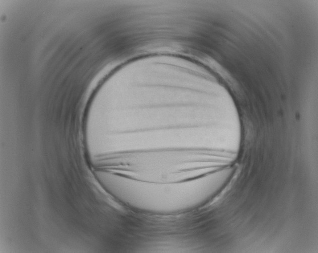 X0000076321240200610271956