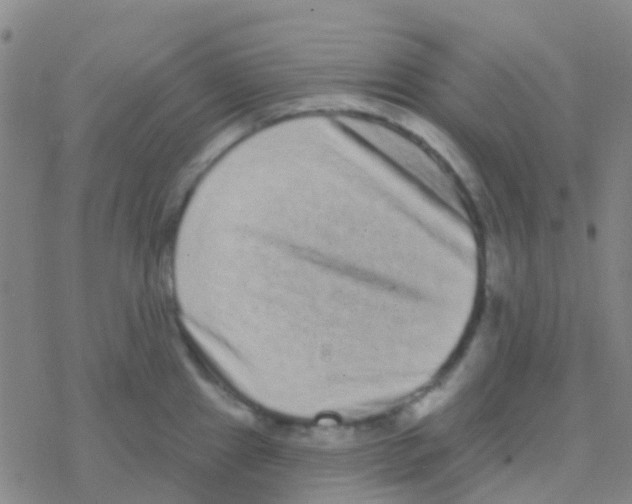 X0000076321241200610271956