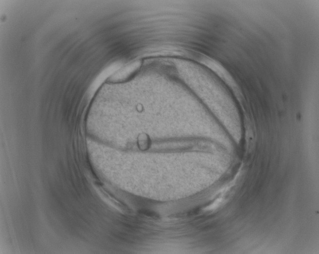 X0000076321242200610271956