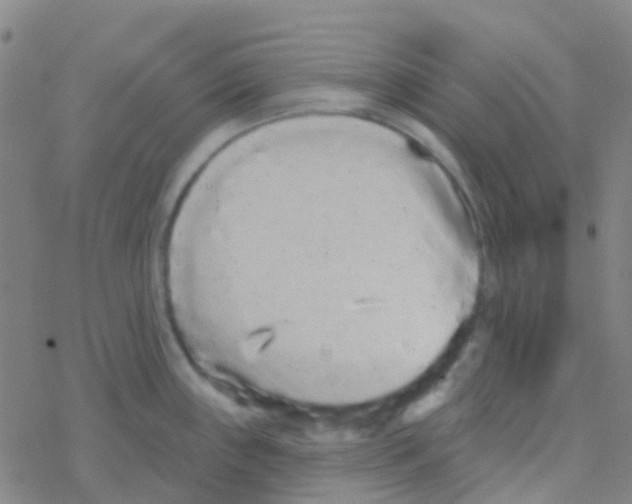 X0000076321243200610271956