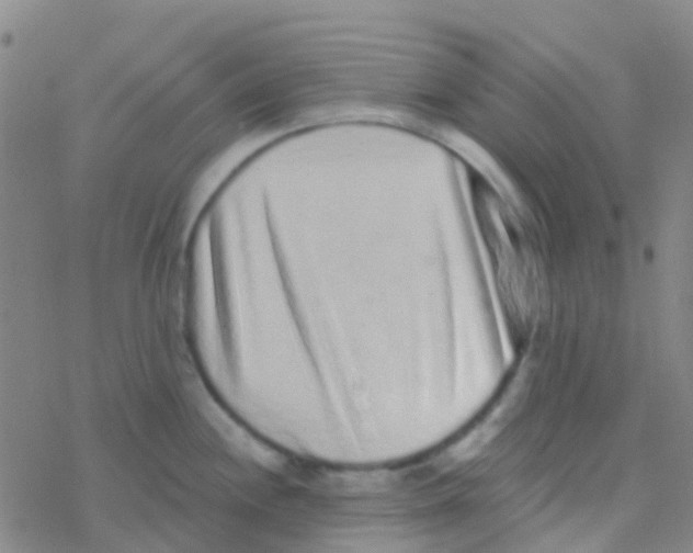 X0000076321244200610271956