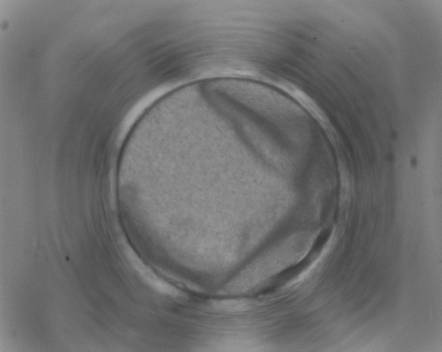 X0000076321246200610271956