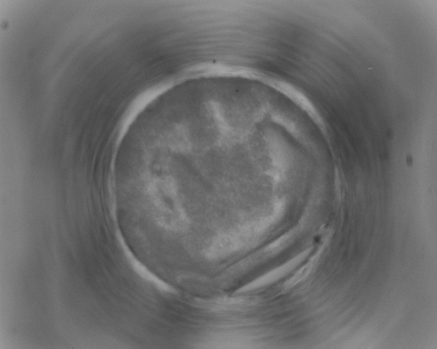 X0000076321247200610271956