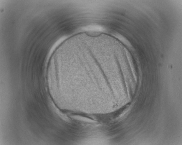 X0000076321248200610271956