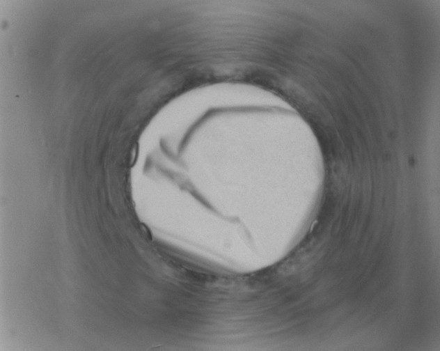 X0000076321249200610271955