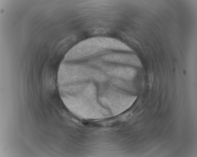 X0000076321250200610271955