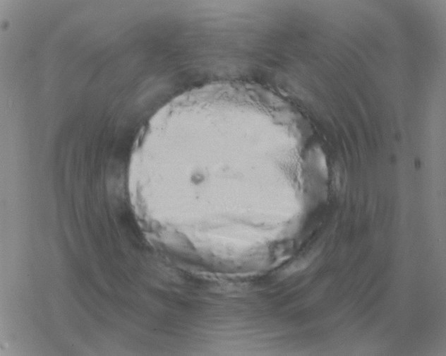 X0000076321251200610271955