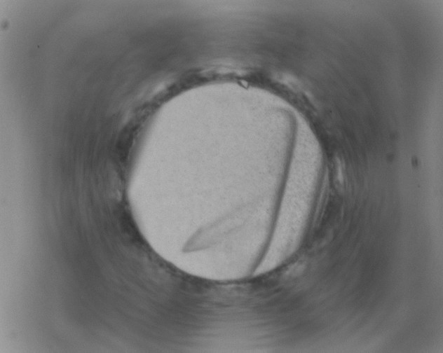 X0000076321253200610271955