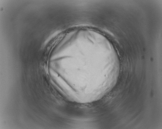 X0000076321255200610271955